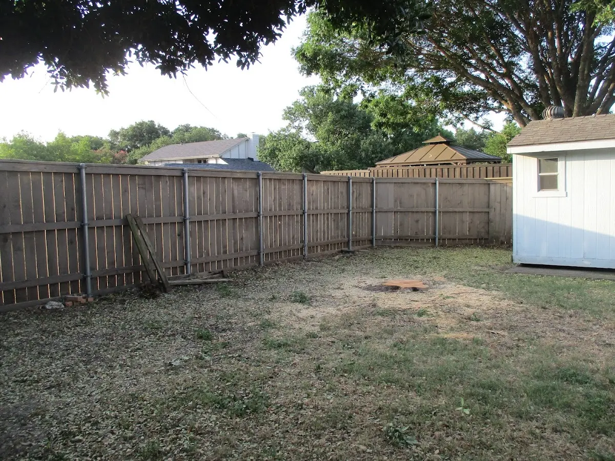 Cleared yard after professional tree removal in Tatitlek